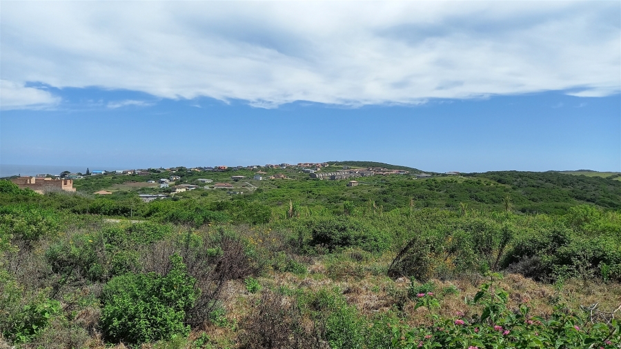 0 Bedroom Property for Sale in Forest Downs Eastern Cape